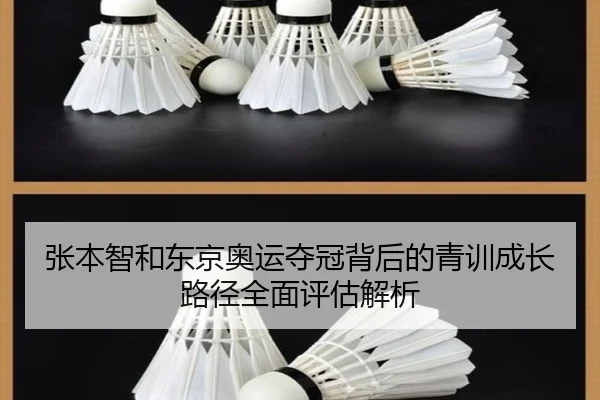张本智和东京奥运夺冠背后的青训成长路径全面评估解析